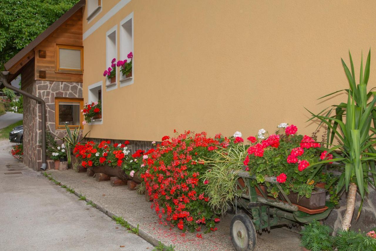 Apartma Erlah Apartment Bohinj Bagian luar foto